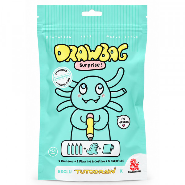 Drawbag Blind Box Figurine à custom + 4 marqueurs - Tutodraw x Rougier&Plé