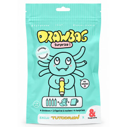 Drawbag Blind Box Figurine à custom + 4 marqueurs - Tutodraw x Rougier&Plé