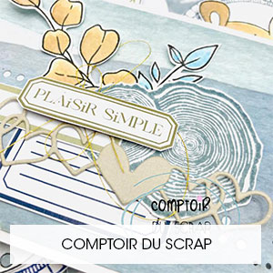 Comptoir du scrap