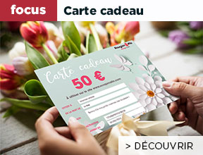 encart_home_2023-fdm