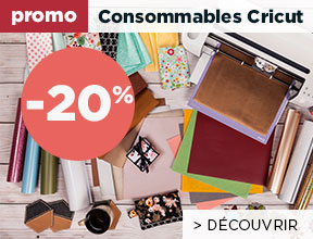 encart_home_2023_promo_cricut_juin