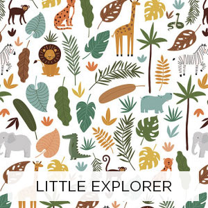 Little Explorer