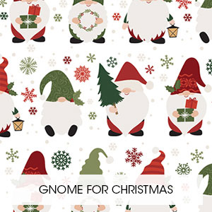 Gnome for CHristmas