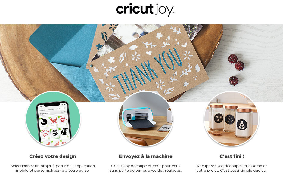 Cricut Ruban de Transfert en Gros Joy, Vinyle, C…