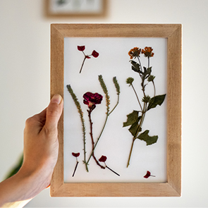 cadre de fleurs séchées