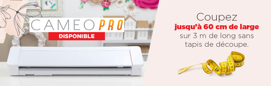 Silhouette Cameo Pro