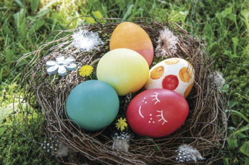 Véritables oeufs de Pâques décorés au colorant alimentaire