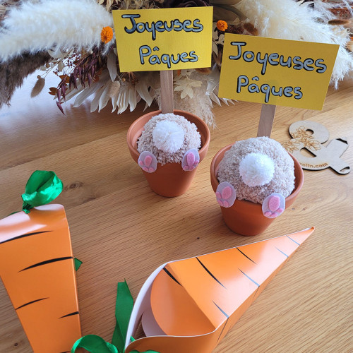 Monter les carottes surprises