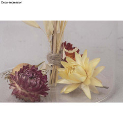 Fleurs séchées éternelles - Rayher