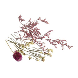 Mini fleurs séchées rose tendre - Rayher