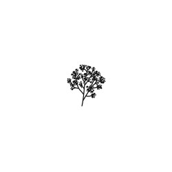 Sceau pour cachet de cire Gypsophile - Aladine