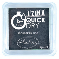 Encreur Izink Quick Dry Noir