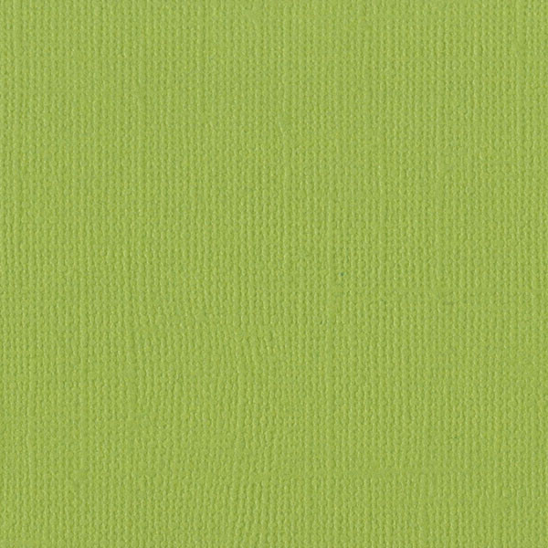 Papier cardstock uni Parakeet