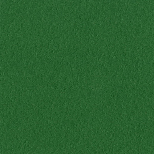 Papier cardstock uni Bazzil green