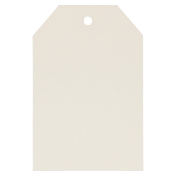 Étiquette Kraft 6 x 4 cm 50 pcs Blanc