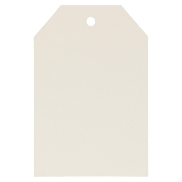 Étiquette Kraft 6 x 4 cm 50 pcs Blanc