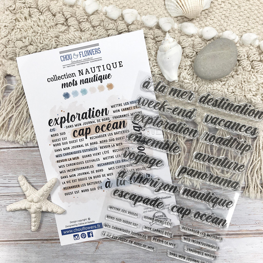 Ensemble De Coquillages Et étoile De Mer Rouge | Vecteur Gratuite Ensemble De Coquillages Et étoile De Mer Rouge | Vecteur Gratuite