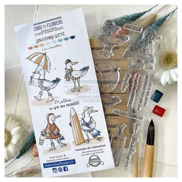 Tampons transparents Les mouettes