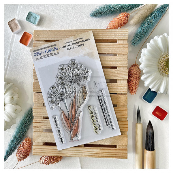 Tampons transparents Agapanthe
