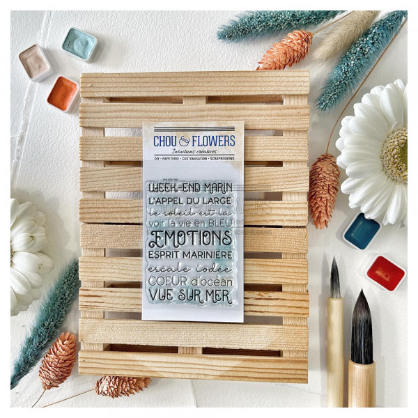 Tampons transparents Mini Texte
