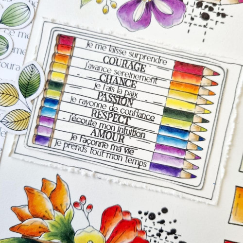 Tampons transparents 10 x 15 cm Crayons de couleur