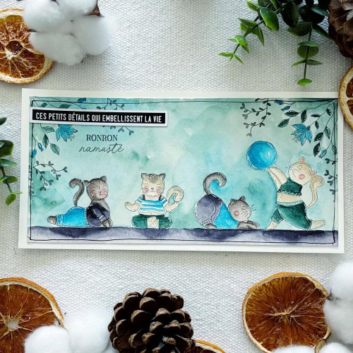 Tampons transparents 10 x 15 cm Les chatons yoga