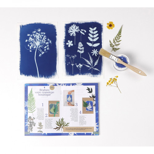 Le Kit Cyanotype