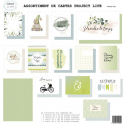 Cartes Project life