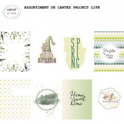 Cartes Project life