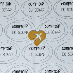 Die Coeur avion