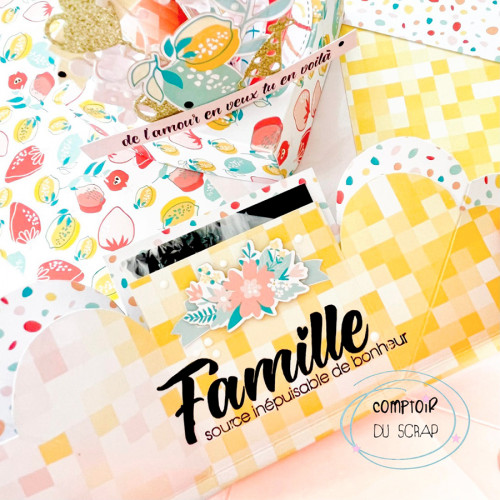 Tampons transparents Famille à composer