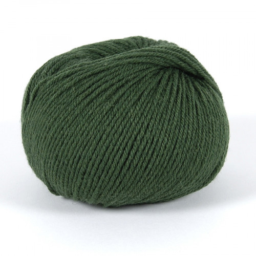 Fil à tricoter Merino Essentiel 4 50g 867 Sapin