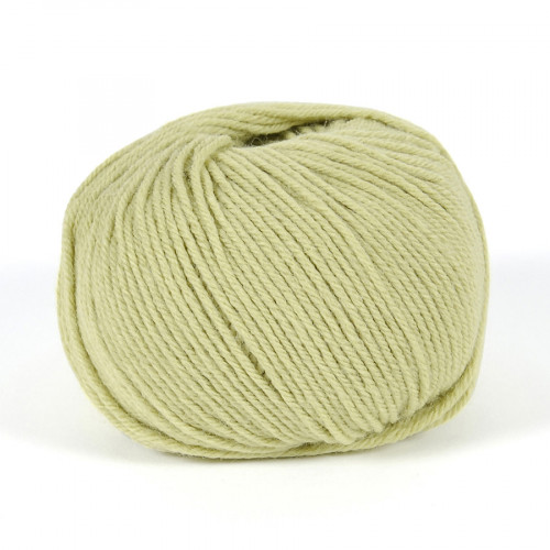 Fil à tricoter Merino Essentiel 4 50g 868 Anis