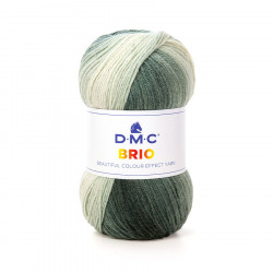 Fil Brio 100 g Gris n°403