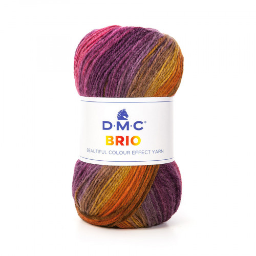 Fil Brio 100 g Prune n°405