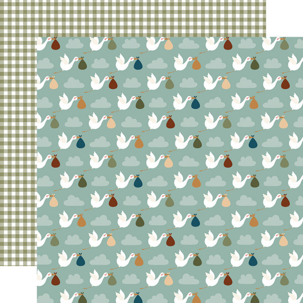 Special Delivery Baby Boy Papier imprimé Welcome Storks
