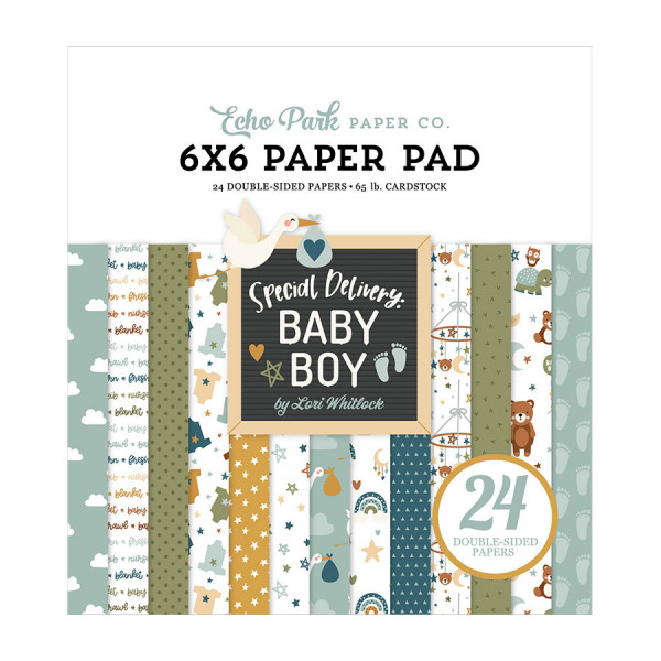 Special Delivery Baby Boy Bloc de papiers 15 x 15 cm