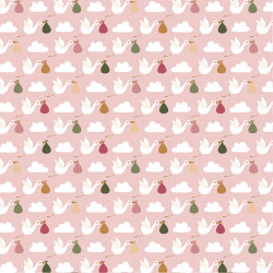 Special Delivery Baby Girl Papier imprimé Stork Delivery Day