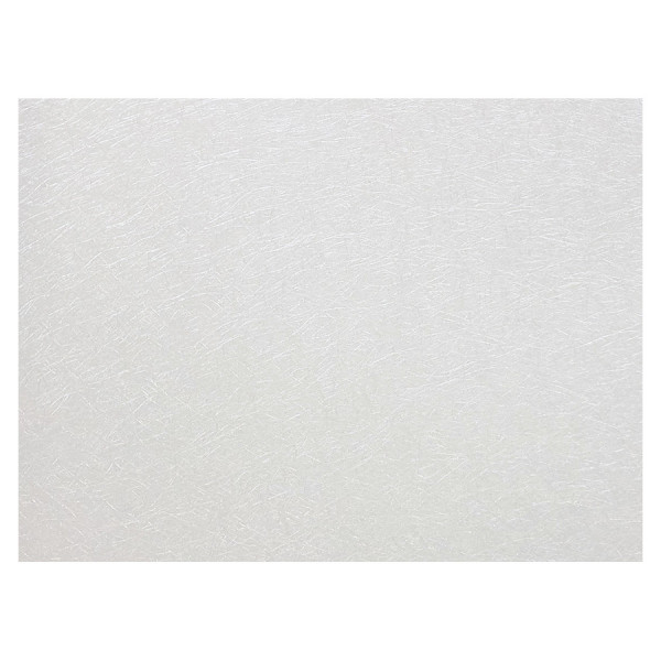 Papier cuir Lézard 50 x 70 cm 188 g/m² Blanc
