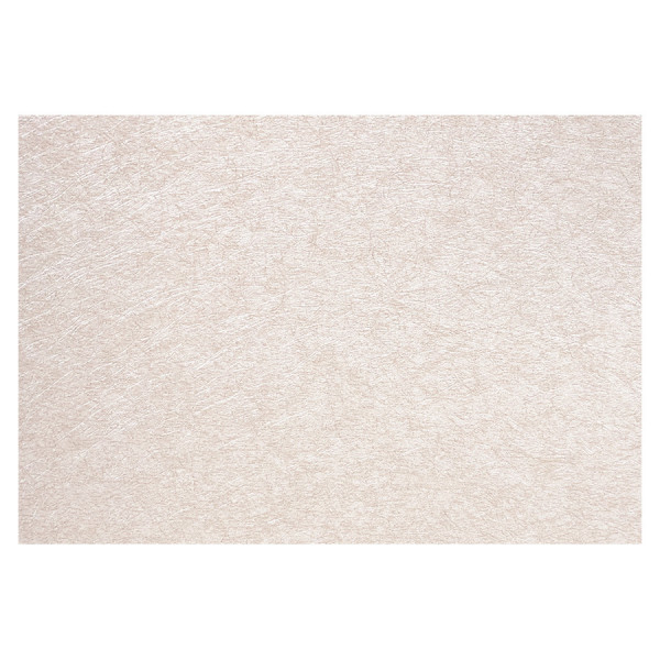 Papier cuir Lézard 50 x 70 cm 188 g/m² Crème