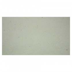 Papier mûrier 47 x 64 cm 25 g/m² Crème