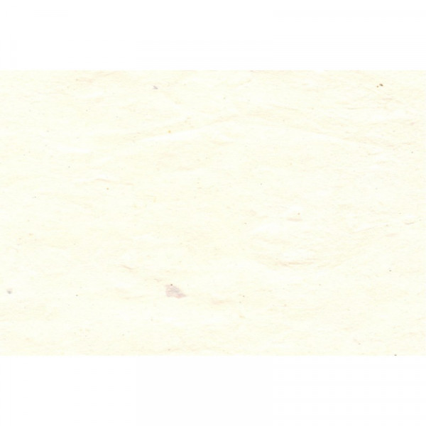 Papier Lokta 80 g/m² 51 x 76 cm Blanc clair