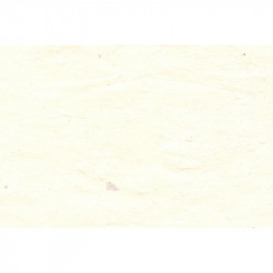 Papier Lokta 80 g/m² 51 x 76 cm Blanc clair
