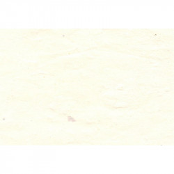 Papier Lokta 80 g/m² 51 x 76 cm Blanc clair