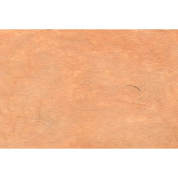 Papier Lokta 80 g/m² 51 x 76 cm Marron clair