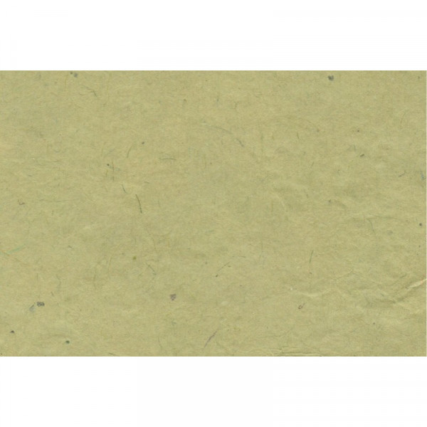 Papier Lokta 80 g/m² 51 x 76 cm Pomme verte