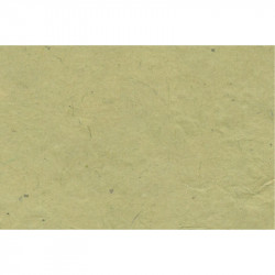 Papier Lokta 80 g/m² 51 x 76 cm Pomme verte