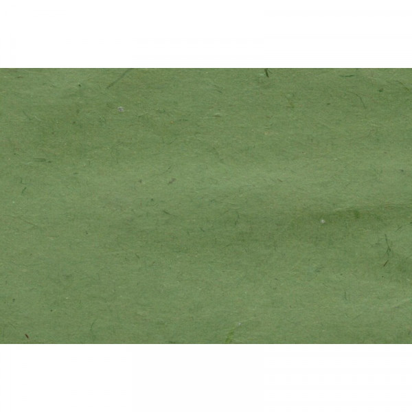 Papier Lokta 80 g/m² 51 x 76 cm Vert bambou