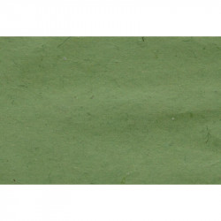 Papier Lokta 80 g/m² 51 x 76 cm Vert bambou