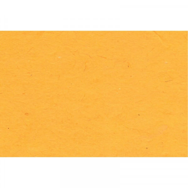 Papier Lokta 80 g/m² 51 x 76 cm Jaune d'or